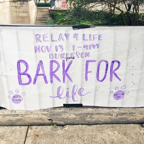 SMU Relay for Life hosts ‘Puppies for a Cause’