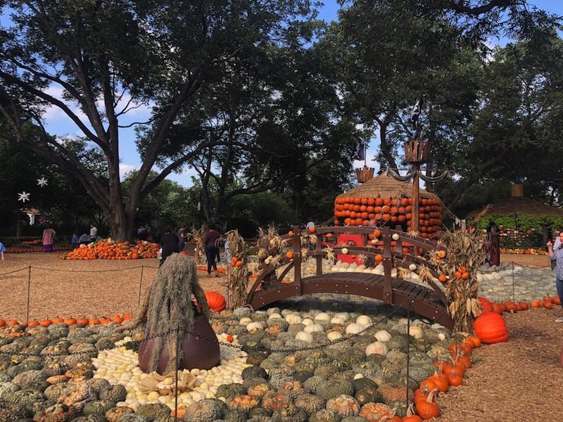 The Dallas Arboretum opens its Fall Festival