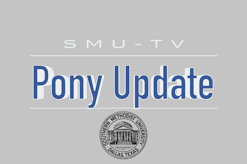 Pony Update: September 30, 2019