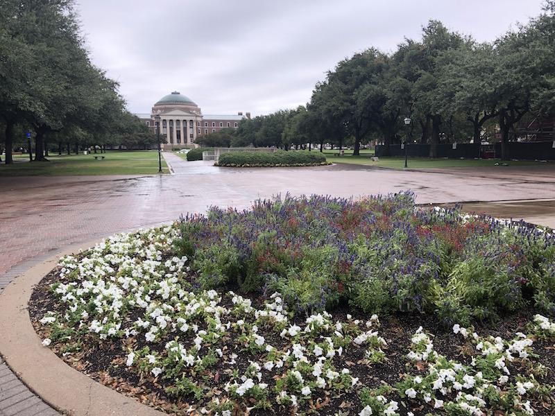 A few things to know about landscaping at SMU
