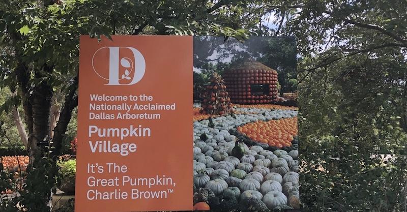Autumn at The Dallas Arboretum Debuts Pumpkin Patch