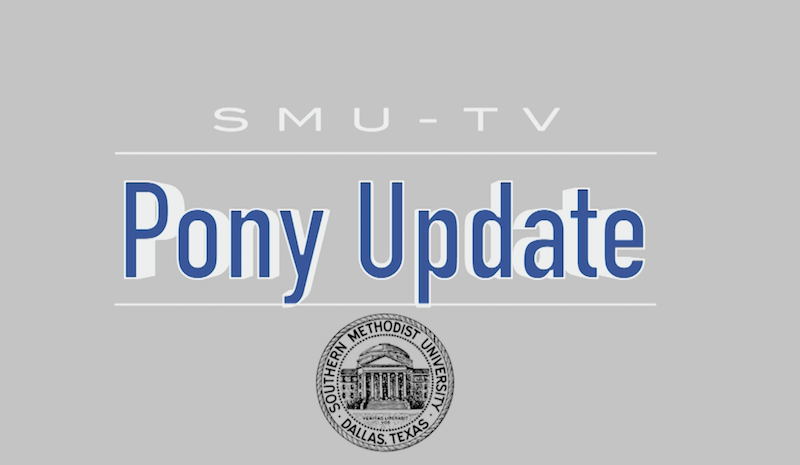 Pony Update 11/8