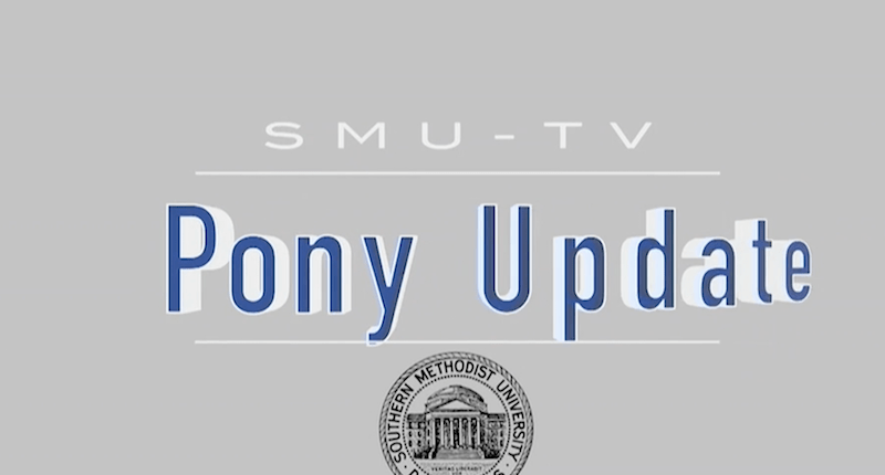 Pony Update: Wednesday, November 20, 2019