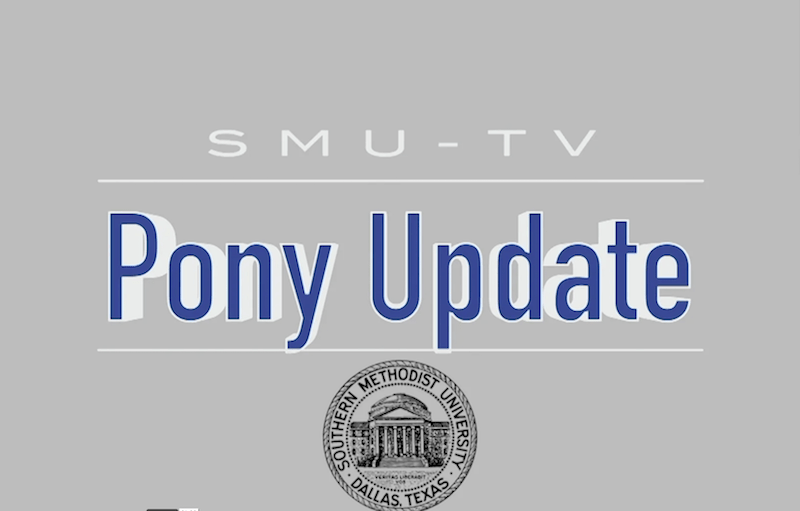 Pony Update: December 10, 2019