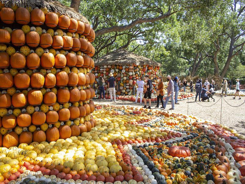 Weekends Selling Out Quickly at the Dallas Arboretum